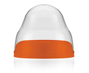 �����ǌ��ڏ���ƿ�w�Æ���