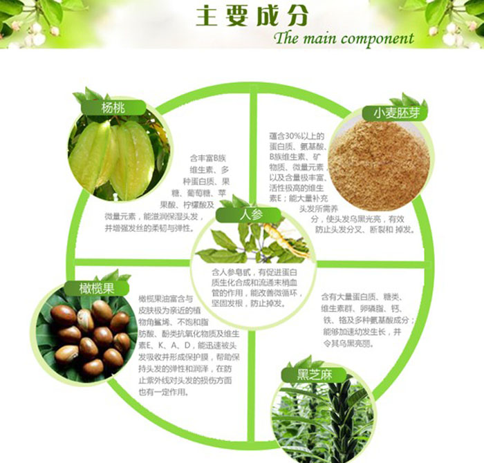 楊桃絲滑護(hù)發(fā)素 300ml 2