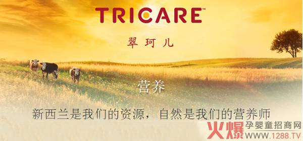 ���惺���b���׃��䷽�̷۵�Ʒ�|(zh��)