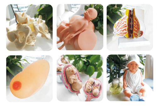 快樂孕育孕婦學(xué)校教學(xué)用具