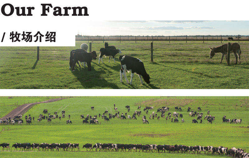 ����������(l��)�����Q(m��o)���޹�˾