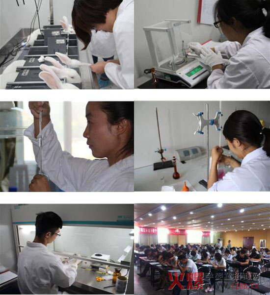 KˎI(y)޹˾׌QCˆTz򞼼ܱӈAM