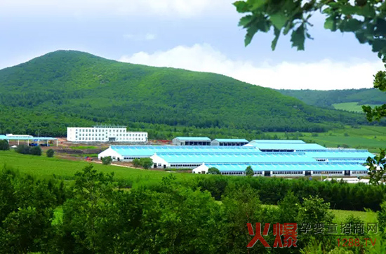 l(f)չ(sh)w(jng)(j)_(d)ɽЄ(dng)