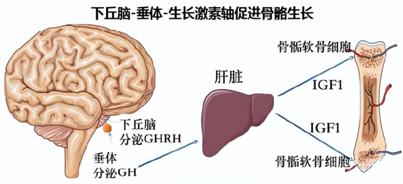 多維營養(yǎng)包.jpg 多維營養(yǎng)包.jpg