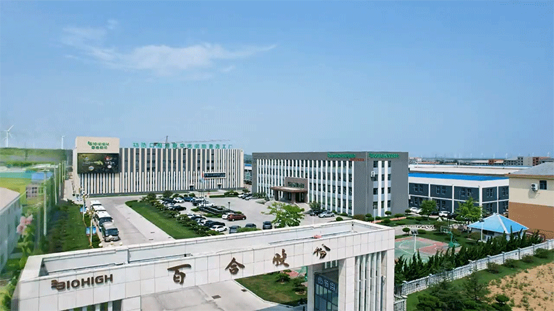 ȫٺϿG܊м8ܹSȫҕ