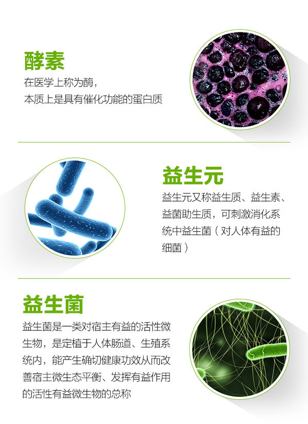 酵瘦益生菌酵素粉成分.jpg