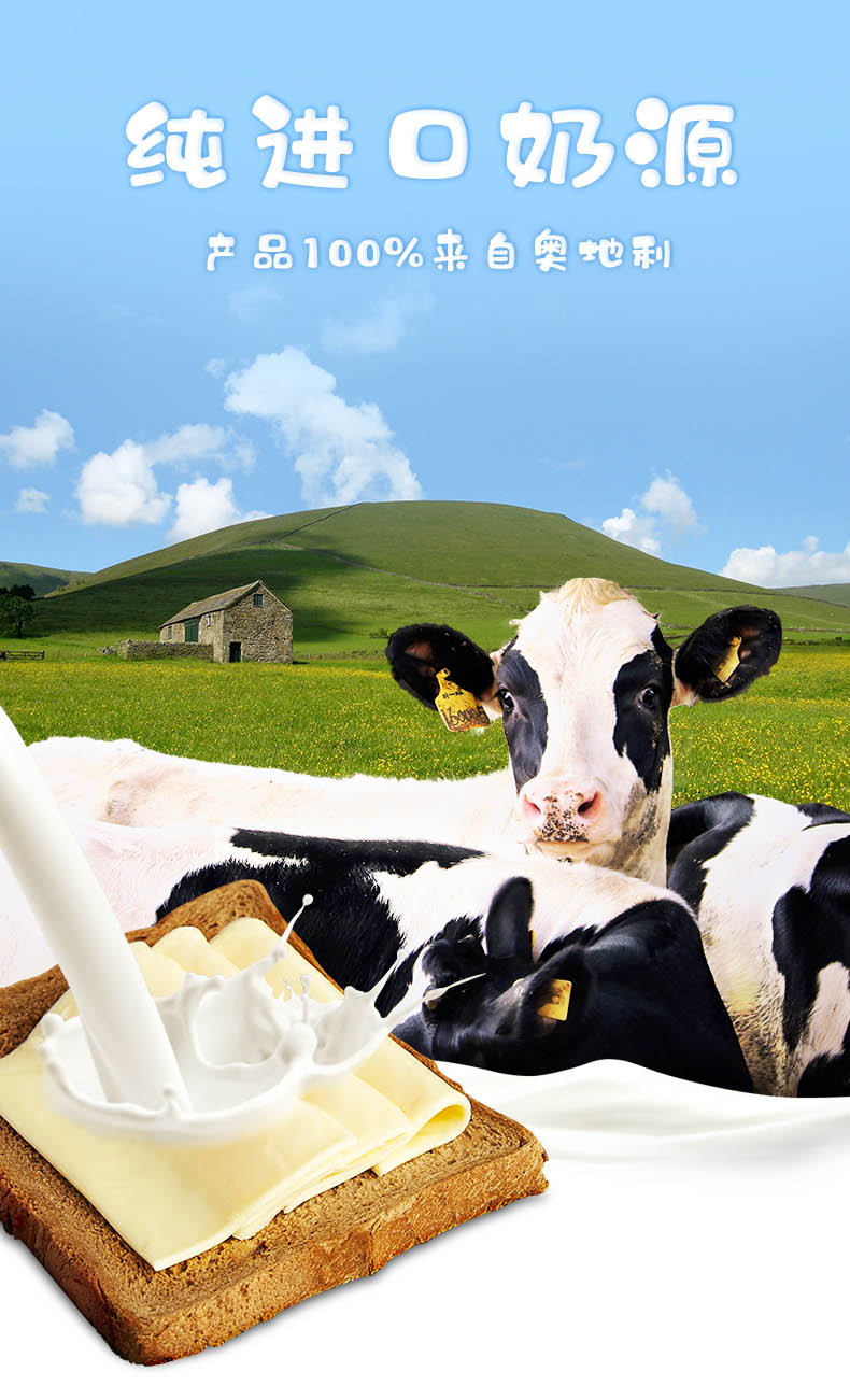 恩澤寶 馬蘇里拉再制干酪片 恩澤寶 馬蘇里拉再制干酪片