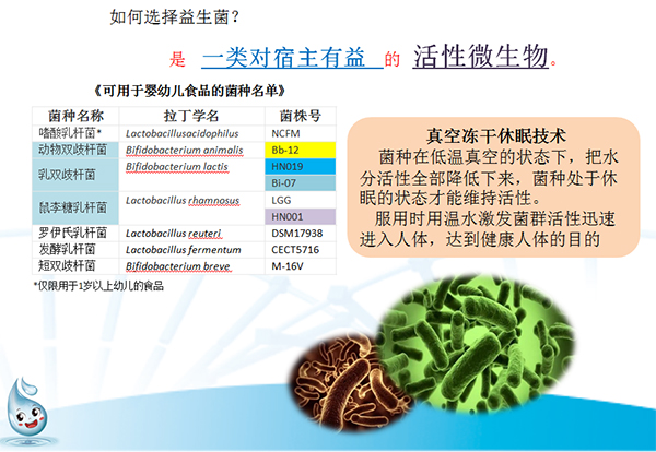 益生菌選擇.jpg