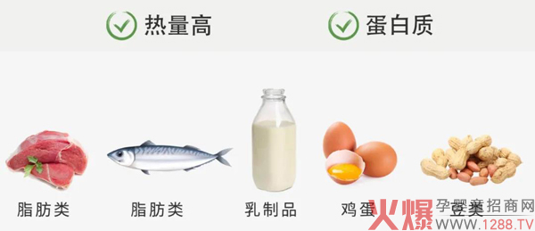 LOUVRERm؛ | ôԲź@һƪ͉