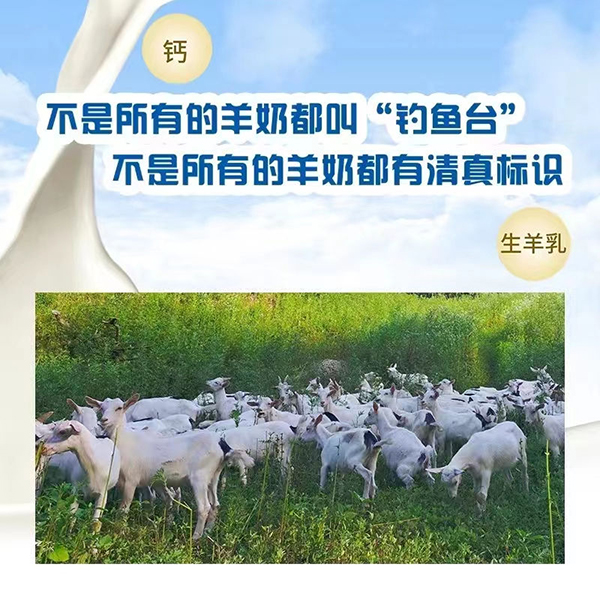 陜西省乳品工業(yè)協(xié)會副秘書長張琦為釣魚臺羊奶點贊4.jpg 陜西省乳品工業(yè)協(xié)會副秘書長張琦為釣魚臺羊奶點贊4.jpg