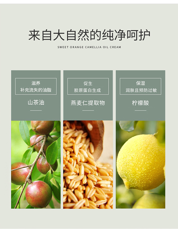 天使森林山茶油精華潤(rùn)膚霜詳情_(kāi)08.jpg