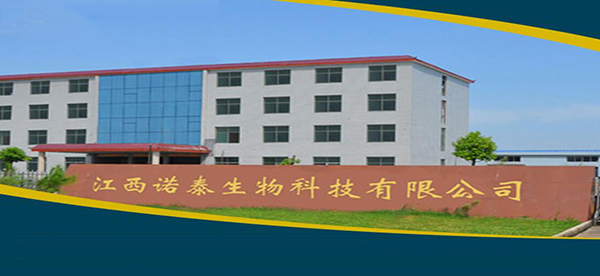 諾泰.jpg 諾泰.jpg