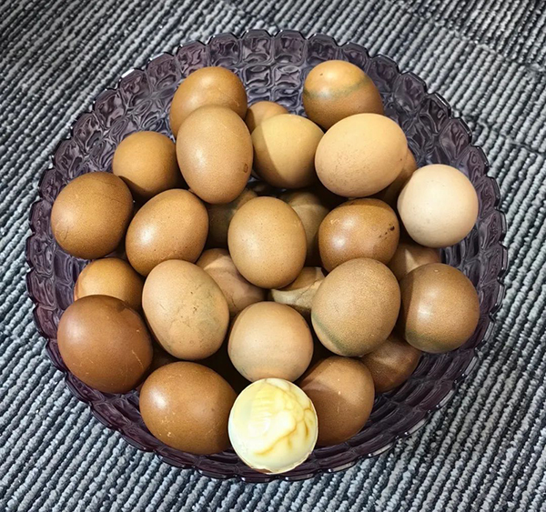 施貝安新模式分享會(鄭州站)圓滿落幕5.jpg 施貝安新模式分享會(鄭州站)圓滿落幕5.jpg