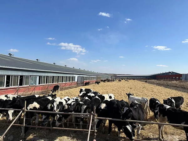 圖片6.jpg 圖片6.jpg