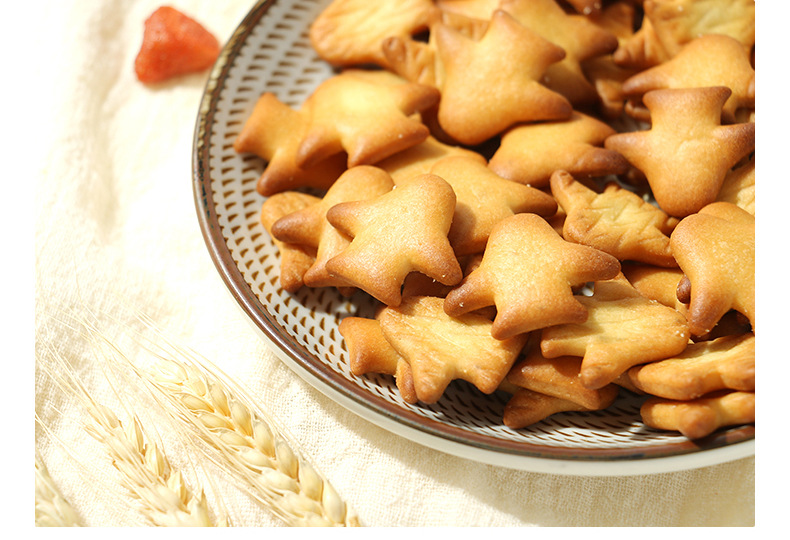 飛機(jī)造型奶鹽小餅干 (9).jpg