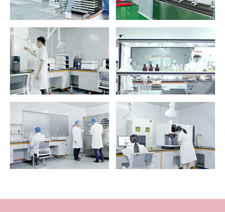 恐龍造型兒童餅干 (14).jpg