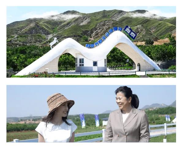 雅泰乳業(yè).jpg 雅泰乳業(yè).jpg