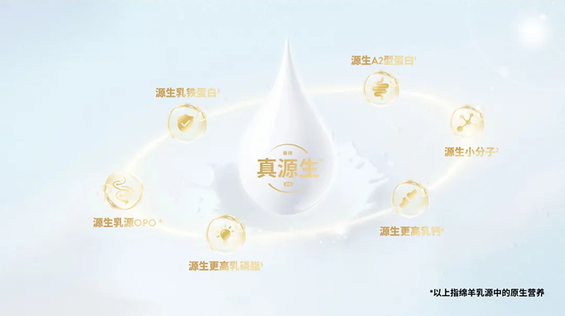 Spring Sheepdȫd׃̷^ע@GCBME06.jpg