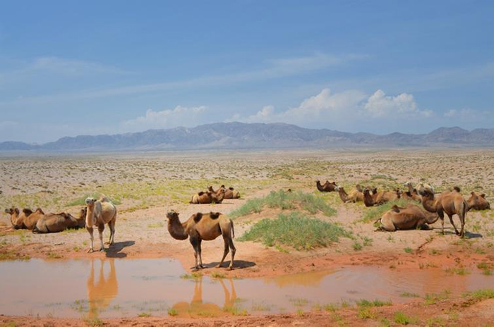 奶源甄選.jpg 奶源甄選.jpg