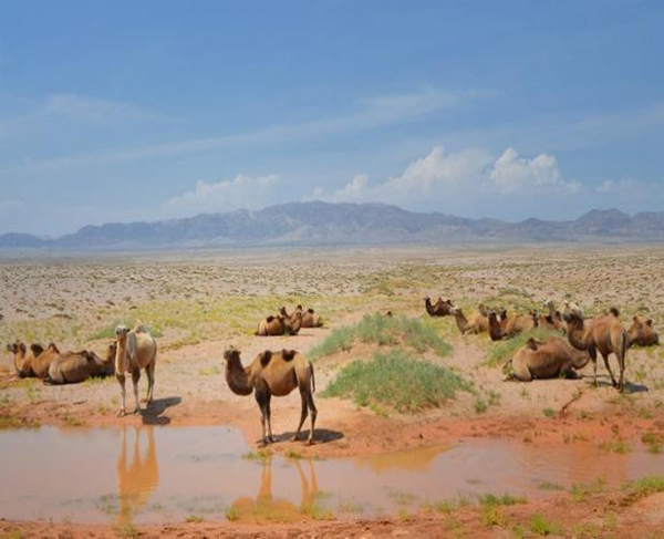 ƽzĸ댣\д̣ģʽ´o(h)ȫҽ\ļ룡