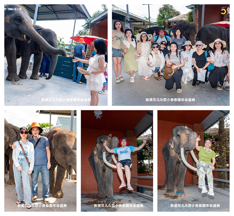 與大象互動.jpg 與大象互動.jpg