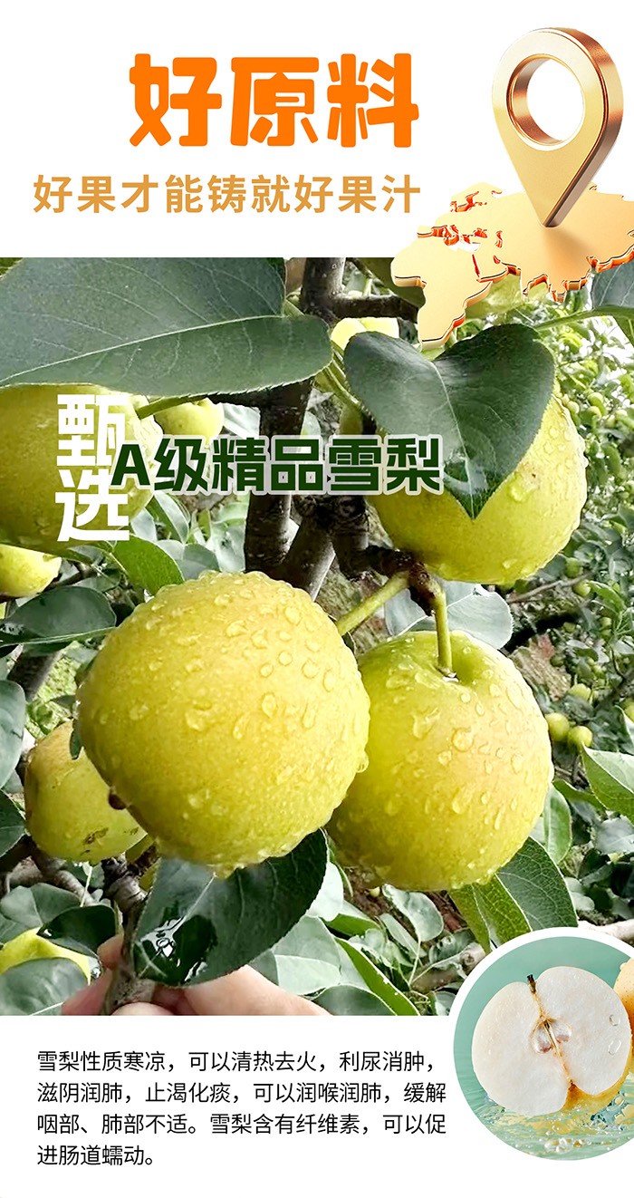 125ml-汪汪隊(duì)枇杷雪梨詳情頁(yè)_05.jpg