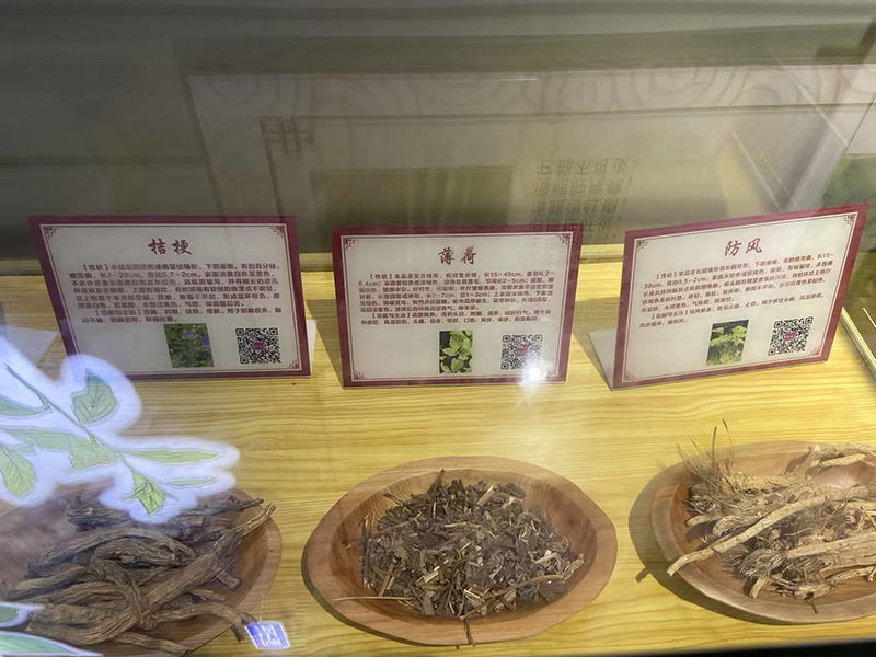 學(xué)習(xí)苗藥知識.jpg 學(xué)習(xí)苗藥知識.jpg