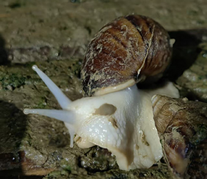  ΢�ňDƬ_20251216165045_370_9