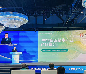  2c6d53caad74ad5bc709c686c5f3e0dd