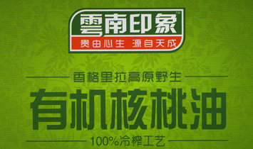 ӡ󽡿a(chn)I(y)ͶYl(f)չ޹˾