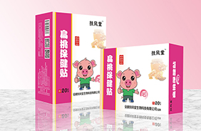 扶風(fēng)堂經(jīng)穴保健貼