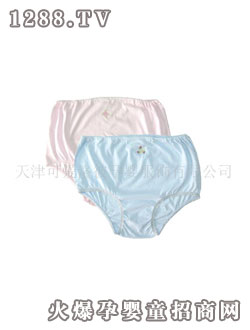 �ɐ���� L2101�ЋD��(n��i)ѝ�p��