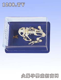 �����ܹ����˱�