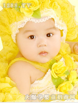 ���쌚���ɐ���Ƭ