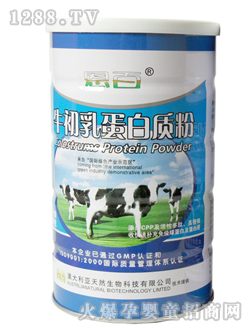 ����ţ���鵰���|��