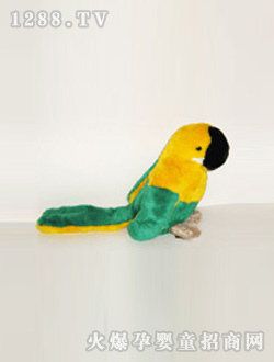 ������ͨС�B���