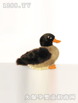 ������ͨС�����