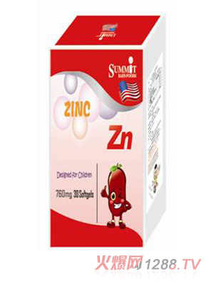 Summit�\��(l��)�\