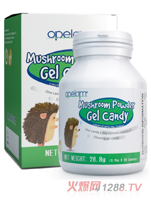 �W����(l��)Ģ�������z�ǹ�